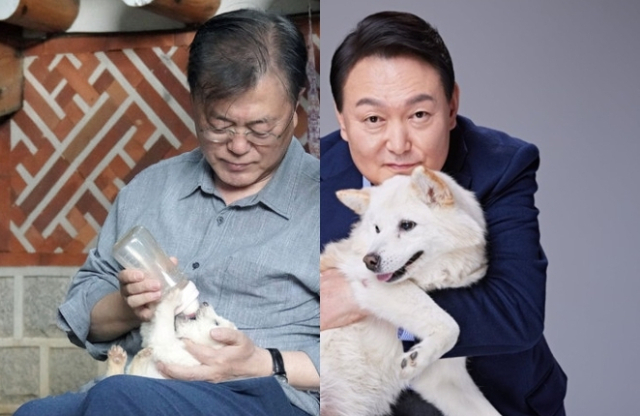 문재인 전 대통령과 윤석열 대통령이 반려견과 함께 한 모습. 연합뉴스, 매일신문DB