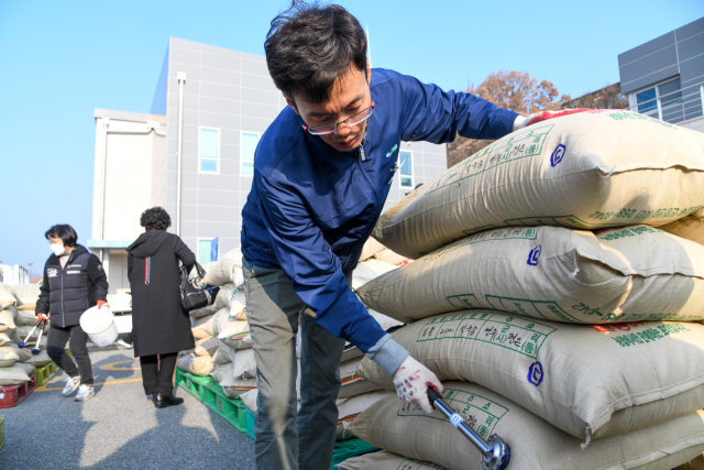 수매 검사관들이 검사 등급을 찍고 있다. 영주시 제공