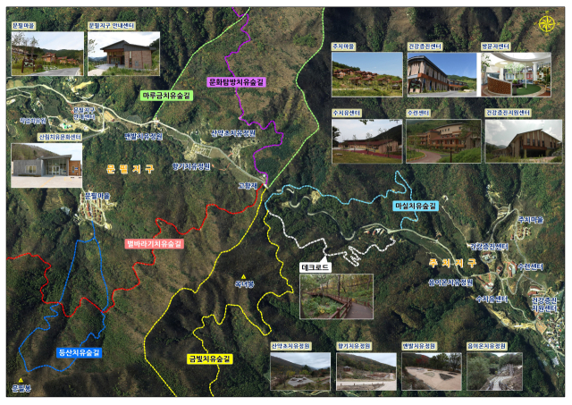 국립산림치유원 시설 현황도. 치유원 제공