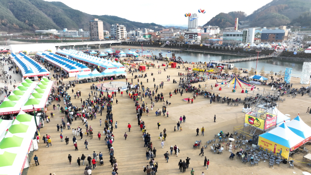 9~13일 5일간 청송사과축제에 40만명의 관광객이 다녀갔다. 청송군 제공