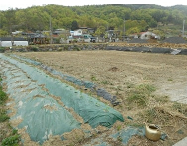 대구경북 관심 공매 물건