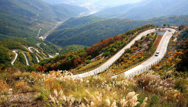 영천 보현산 천수누림길 전경. 산허리를 타고 구불구불 이어지는 도로 옆 억새풀이 어우러져 절경을 연출하고 있다. 영천시 제공