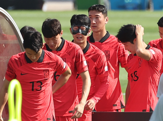 안면보호대를 착용한 