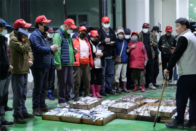 감포항 수협 어판장에서 가자미 경매가 이뤄지고 있다.