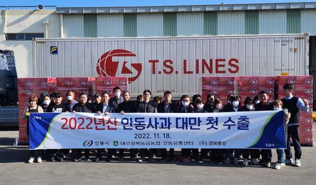 지난 18일 올해산 안동사과 15t이 대만 수출길에 올랐다. 안동시는 올해 대만 등 6개국에 250t의 사과를 수출할 계획이다. 안동시 제공
