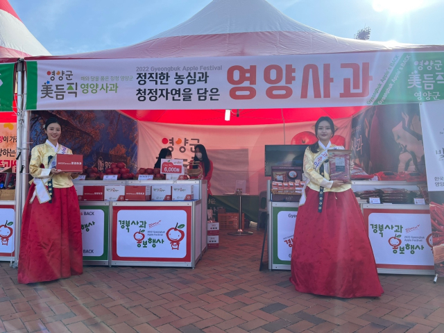 25일부터 27일까지 대구스타디움 일원에서 개최된 