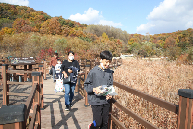 문경 돌리네 습지 둘레길을 오르는 관광객들. 문경시 제공