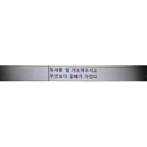 교원평가 서술형 문항 중 부적절한 표현이 등장한 사례. 연합뉴스