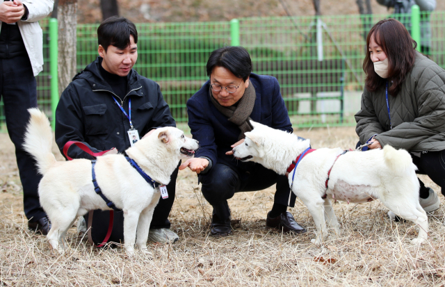 12일 오전 광주 북구 오치동물원에서 강기정 광주시장이 풍산개 곰이와 송강을 만나고 있다. 광주시는 지난 9일 문재인 전 대통령이 기르다 대통령기록관에 반납한 곰이와 송강을 대여 형식으로 넘겨받아 사육을 시작했다. 동물원 측의 실수로 이름표가 바뀐 상태다. 연합뉴스