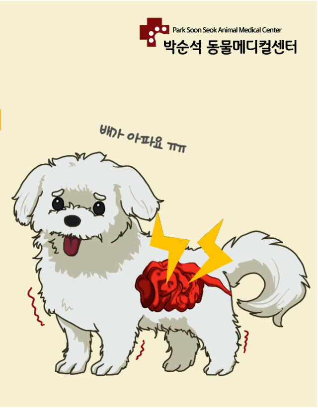 염증성장염은 면역의 과잉반응으로 인해 장에 염증이 발생하는 질환이다. 소화불량, 구토,설사를 일으킬수 있다.