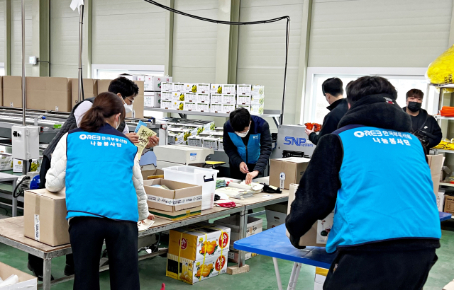 한국부동산원 임직원들이 최근 경북 성주군 농특산물 꾸러미 사업 제작에 참여, 저소득 노인들에게 지원할 특산물을 박스에 담고 있다. 한국부동산원 제공