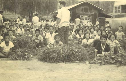 1974년 경북 안동 임하초등학교 학생들이 교내 풀베기 대회를 하고 결과를 기다리고 있다. 임하초 제공
