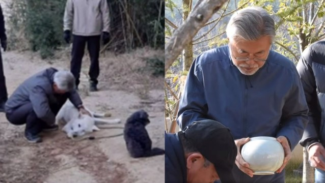 문재인 전 대통령의 딸 다혜씨가 최근 세상을 떠난 문 전 대통령의 반려견 마루의 마지막 모습이 담긴 영상을 공개했다. 이 영상에서 문 전 대통령은 마루의 유골함을 직접 묻기도 했다. 다혜씨 페이스북 영상 캡처