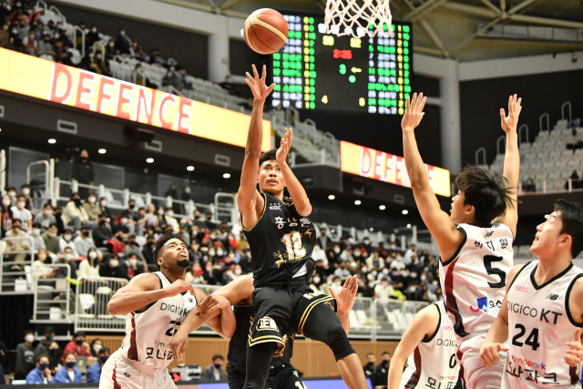 인삼공사의 렌즈 아반도. KBL 제공