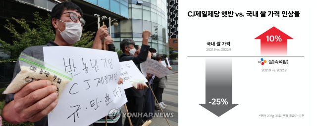 쌀값 대비 햇반 가격인상율.