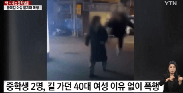 YTN보도화면 캡처