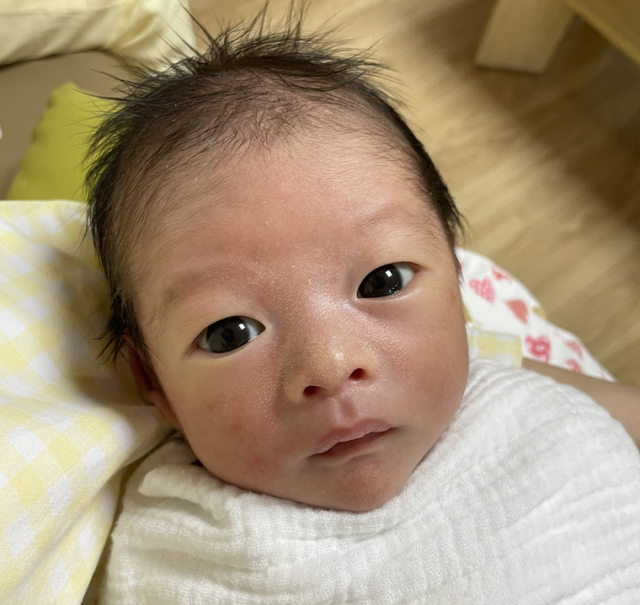 정채미 산모 아기