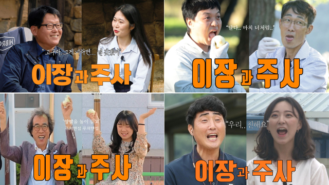 안동시가 5개의 공식 SNS 채널 개설을 통해 다양한 콘텐츠를 제작, 홍보하면서 누적 조회수 등이 큰폭으로 증가하는 등 