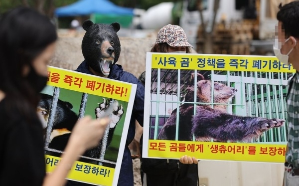지난 7월 곰탈을 쓴 한국동물보호연합 회원이 서울 종로구 광화문광장 인근에서 사육곰 정책 즉각 폐기 및 야생동물보호시설(생츄어리) 보장을 주장하며 기자회견을 열고 있다. 연합뉴스
