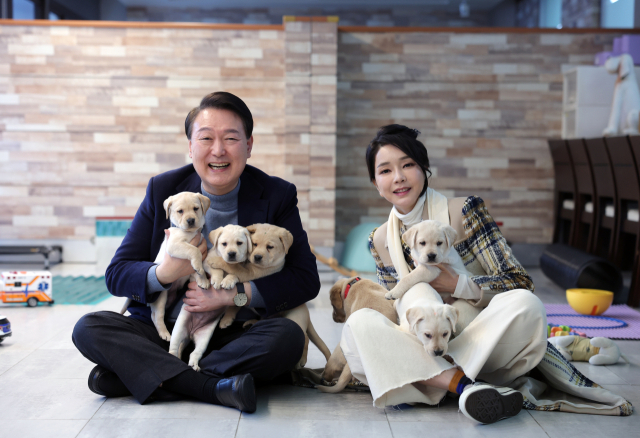 윤석열 대통령과 김건희 여사가 24일 경기도 용인 삼성화재 안내견 학교에서 리트리버 강아지들을 살펴보고 있다. 연합뉴스
