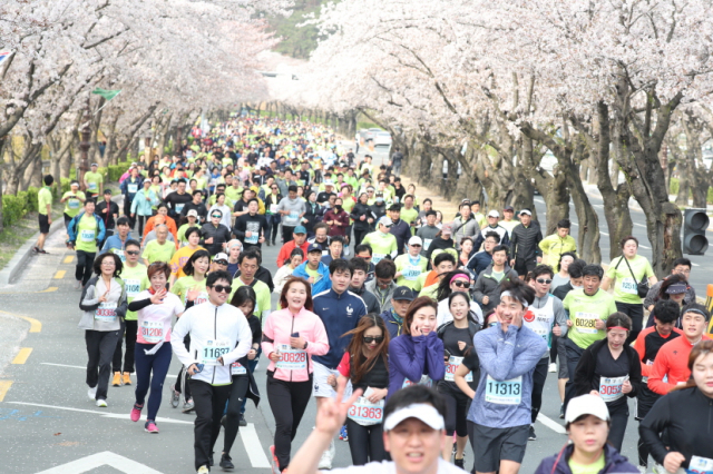 지난 2019년 열린 경주 벚꽃마라톤대회 모습. 경주시 제공