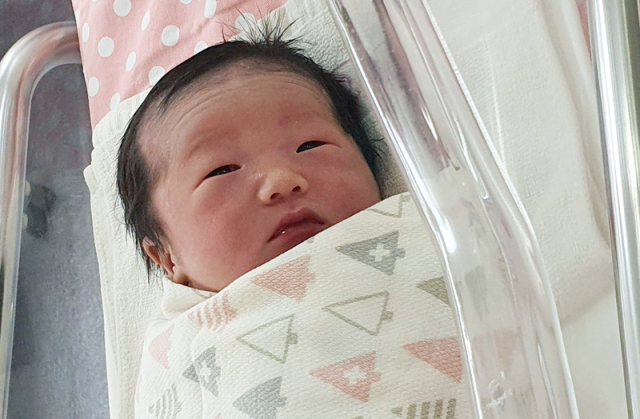손아영아가