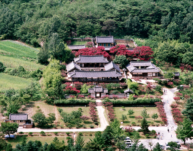 안동 병산서원 전경. 매일신문 DB