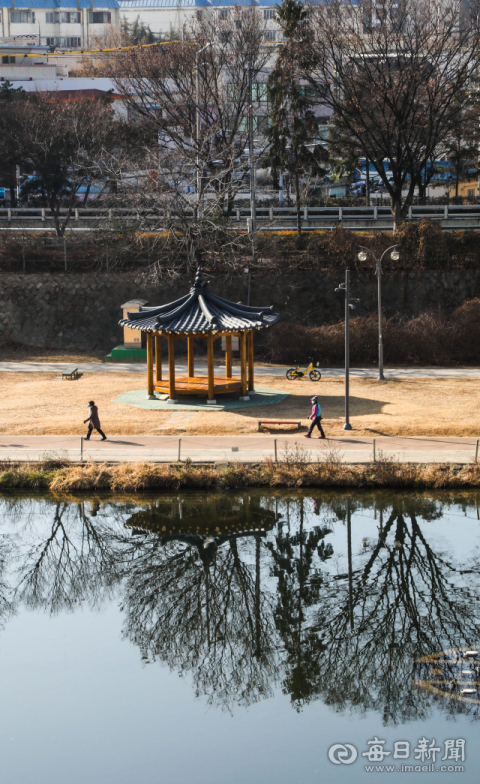10일 대구 신천을 흐르는 물에 신천 둔치 주변의 나무들이 투명하게 반사되고 있다. 지난해 12월13일 낙동강 물을 정화해 신천 상류부터 금호강까지 흘러보내는 생태유량공급사업이 준공된 이후 겨울 가뭄에도 불구하고 신천 수량이 일정하게 유지되고 있다. 우태욱 기자 woo@imaeil.com