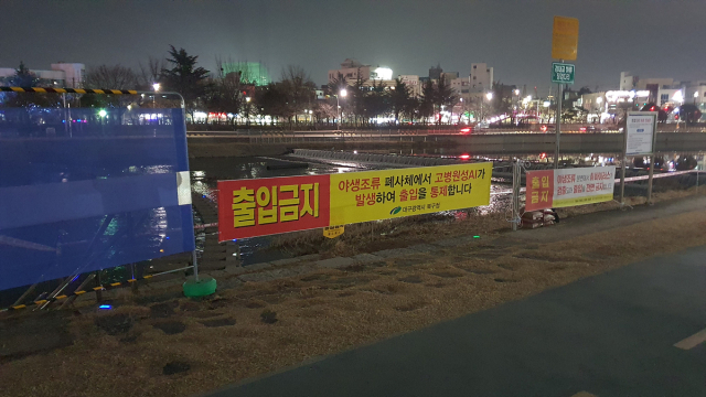 대구시는 고병원성 조류인플루엔자가 검출된 신천 도청교 인근의 출입을 통제하고 예찰을 강화했다. 대구시 제공.