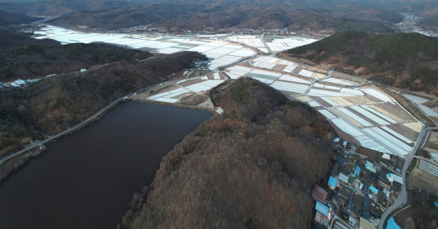 의성마늘 생산단지 전경. 경북도 제공