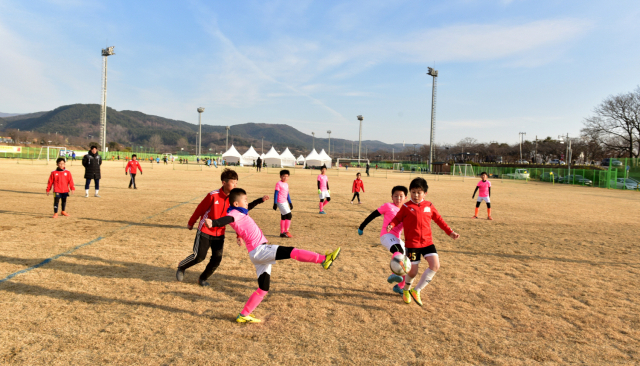 경북 경주시가 동계훈련지로 각광받고 있다. 알천구장에서 동계훈련을 하고 있는 유소년 축구팀 모습. 경주시 제공