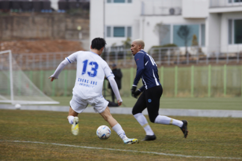 日 전훈 앞둔 대구FC·삼성라이온즈 