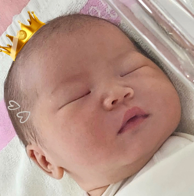 김은정아가