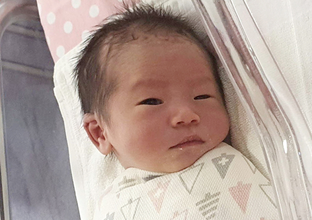 도영희아가