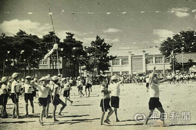 하양초등학교의 1960년대 운동회 모습. 하양초교 제공