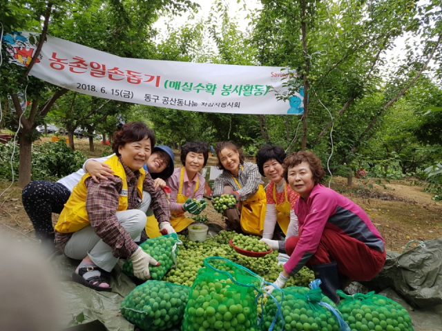 고 서봉현 씨가 대한적십자사 대구동구지구협의회 봉사원들과 함께 봉사활동에 참여했을 때의 모습. 오른쪽 첫 번째가 고 서봉현 씨. 대한적십자사 대구동구지구협의회 봉사원들 제공.