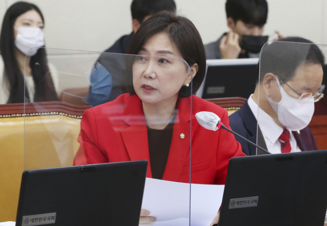 허은아 국민의힘 의원. 연합뉴스