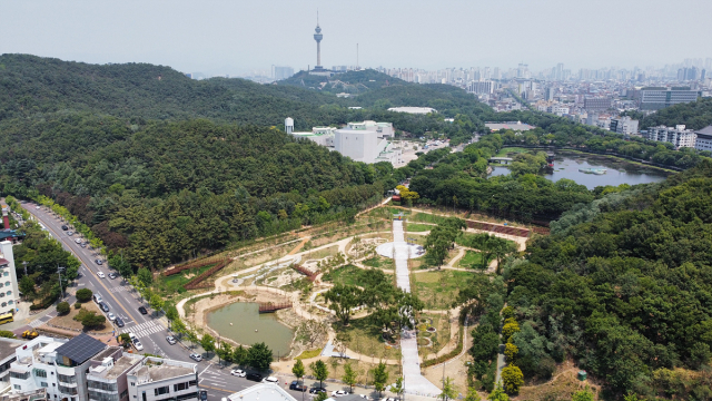 두류공원 내 조성된 대구대표숲. 대구시 제공