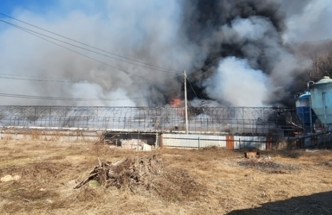 5일 오후 2시 29분쯤 전북 순창군 팔덕면 죽곡리 한 양계장에서 난 불이 야산(산 8-3)으로 번졌다. 전북소방본부