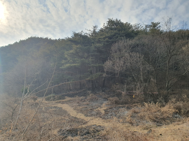 지난 1일 발생한 기성면 정명리 야산 산불 현장에 대해 감식이 진행되고 있다. 울진군 제공