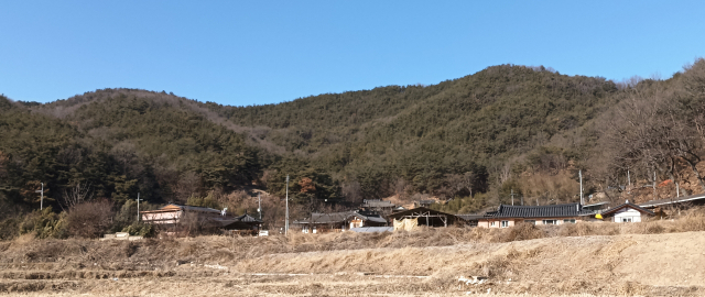 봉황의 둥우리 형상과 봉산마을 전경