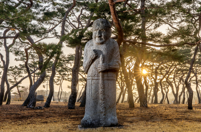 흥덕왕릉의 무인석.터번을 쓴 머리, 큰 코에 깊은 눈의 서역 무사가 철퇴를 들고 신라 흥덕왕릉을 지키고 있다.왕릉주변 소나무들이 처용무를 추는듯 하다.