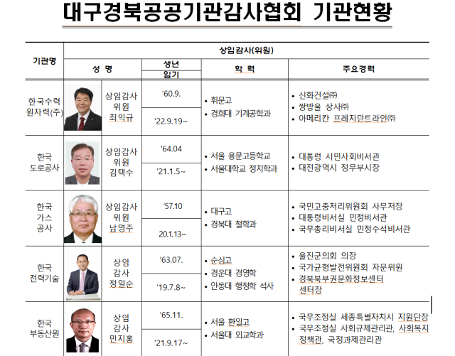 2023대구경북공공기관감사협의회는 한국수력원자력(주), 한국도로공사, 한국가스공사, 한국전력기술, 한국부동산원, 신용보즘기금, 한국장학재단, 경북대학교병원, 경북대학교치과병원, 한국산업기술평가원 10개 기관의 상임감사들로 구성돼있다. 대구경북공공기관감사협의회 제공
