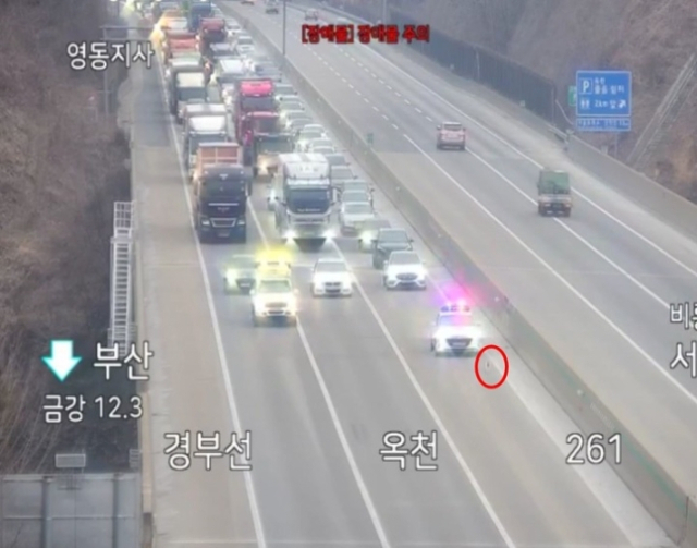 고속도로 한복판에 유기견 출몰. 한국도로공사 대전충남본부 제공