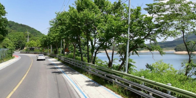 경주 덕동호 전경. 독자 제공