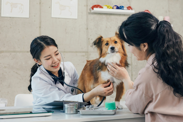입양시 질병과 건강검진