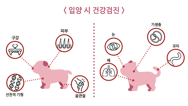 청년기 질병과 건강검진