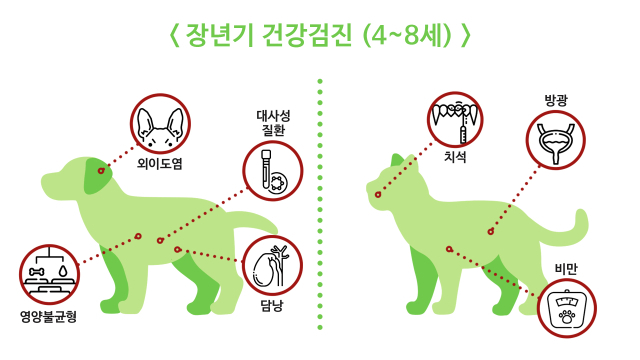 노년기 질병과 건강검지