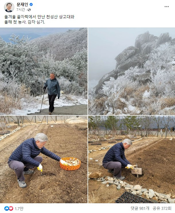 문재인 전 대통령이 SNS를 통해 감자를 심는 모습 등 일상 사진을 공개했다. 일부 지지자들은 여야 대치로 정국이 혼란스러운 와중에 여유로운 일상 모습을 공개한 문 전 대통령에게 