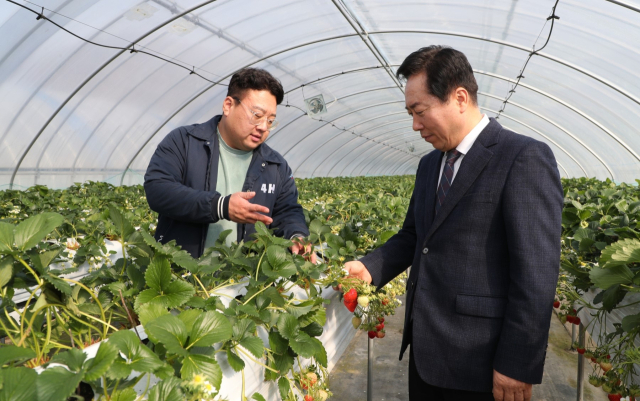 안동시가 올 한해 농산물 생산과 유통, 판매에 이르기까지 전방위 지원을 통해 농업 경쟁력을 확보하고, 농가소득 증대로 이끈다는 각오다. 사진은 권기창 시장이 농업현장에서 농민들과 대화하는 모습. 안동시 제공
